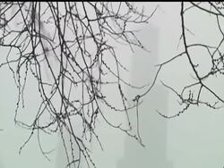 More than 370 flights have been canceled at Chicago's airports as a fast-moving snowstorm whips across the area. Up to eight inches of snow could fall by Friday evening. (Jan. 20) Instructional Video