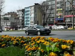 MS Traffic moving in front of flowers / Istanbul, Turkey Stock Footage