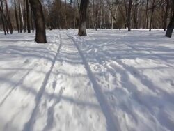 Sledge HD1080,NTSC,PAL Stock Footage