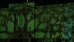 Buckingham Palace with rainforest projection News Clip