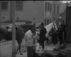 EXTREMISTS DEMONSTRATE News Clip