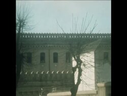 SYND 7 9 71 MASS ESCAPE FROM PRISON BY TUPAMAROS News Clip