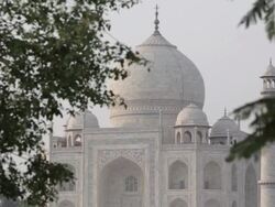 MH LD Taj Mahal with Trees in Foreground / Agra, India Stock Footage