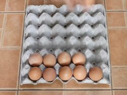 Put eggs Stock Footage
