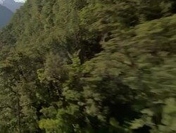 LOW AERIAL, Forest, river and mountain range, Fiordland National Park, New Zealand Stock Footage