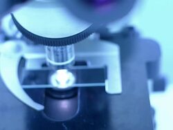 Scientist and bio lab experiment Stock Footage