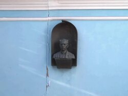 MS bust  Stock Footage