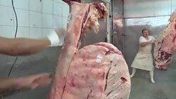 VOICED : Rib loving Argentines pushed to drop costly meat News Clip