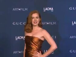 Amy Adams at LACMA Hosts 2013 Art + Film Gala Honoring David Hockney And Martin Scorsese Presented By Gucci Stock Footage