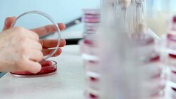 Laboratory technician working with medical samples Stock Footage