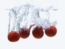 CU SLO MO Shot of Red Tomatoes, solanum lycopersicum, Fruits falling into Water against White Background / Calvados, Normandy, France Stock Footage
