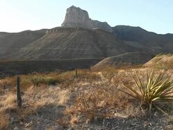 Guadalupe Mountains National Park Stock Footage