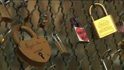 Couples celebrate Valentine's Day in Paris Instructional Video