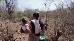 CLEAN : Thousands search water even under rocks in drought hit Nicaragua News Clip