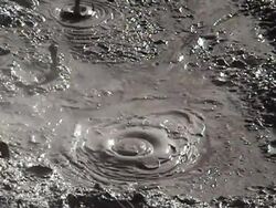 Bubbly Mud Flat Stock Footage