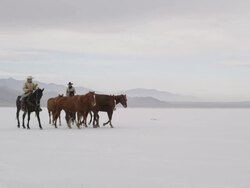 Horses walking with cowboys riding across salt flats. Stock Footage
