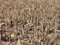 HD: Message Board On A Field Stock Footage