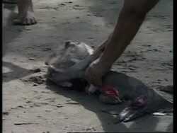 NICARAGUA: DELEGATES GATHER TO DISCUSS EL NINO PHENOMENON News Clip