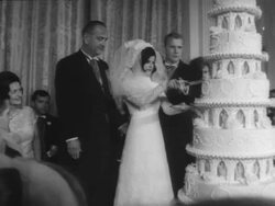 Luci Johnson and Patrick Nugent's Wedding Reception Stock Footage