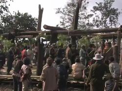 Long Shot hand-held - Villagers dance in a circle and shake tree branches in India. / India Stock Footage