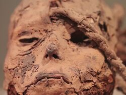 CU Shot of mummy in Antonini museum / South Of Peru, Nazca, Peru Stock Footage