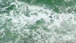 Ocean wave motion background Stock Footage