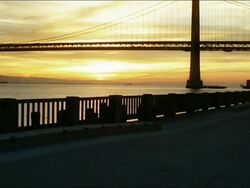 Male Runner on the Embarcadero Stock Footage