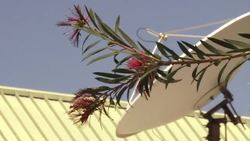 CLEAN : Lessons learned at Australias vast Outback News Clip