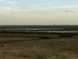 MS Several ducks floating and swimming in shallow pond  / United Kingdom Stock Footage