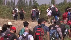 VOICED : Baghdad to Bavaria a refugee families heart rending odyssey News Clip