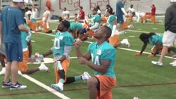 The NFL is currently investigating whether Miami offensive lineman Richie Incognito bullied teammate Jonathan Martin, and whether the team mishandled the matter.  But some players believe Martin should have responded more firmly. (Nov. 7) News Clip