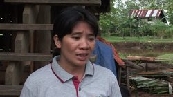 CLEAN: Murky future for giant Philippine crocodiles News Clip