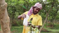 VOICED : Indias tribal communities spin their way out of poverty News Clip