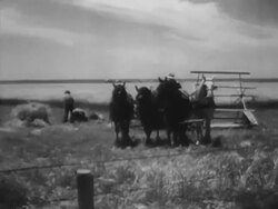 Different kinds of American workers Stock Footage