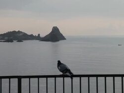 Aci Castello, a dove and the Cyclopean Isles in the background Stock Footage