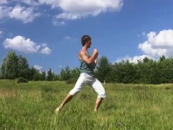 NTSC: Martial arts Stock Footage