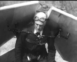 ONLY FOR THE BIRDS? News Clip