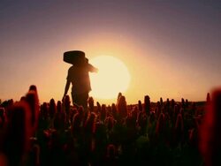 SLO MO Man with a guitar walking among flowers Stock Footage