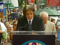 Postumous Dedication of Stella Adler's Walk of Fame Star Stock Footage