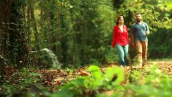 Walking Autumn Stock Footage