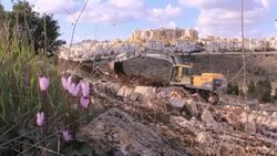 Bulldozer at work,loss of natural landscape, with Cyclamen in foreground Stock Footage