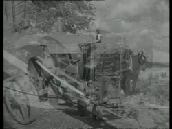 Electric motor driving a threshing machine, UK  1939 Stock Footage