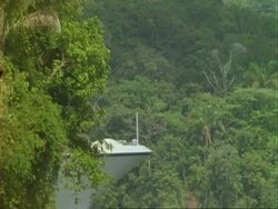 Ship enters frame from behind trees, Panama Canal, Panama. Stock Footage