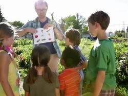 Teacher showing picture of vegetables to kids in community garden Stock Footage