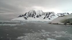 VOICED : Escasea el principal alimento de la fauna antartica News Clip