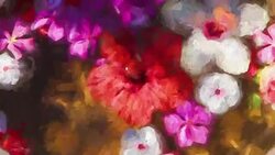 Impressionist Flowers Stock Footage