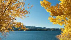 River in America Stock Footage