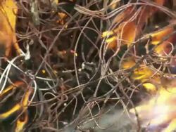 ECU Shot of burning plastic from electric cables to recover copper and others scavenging scrap metal / Lagos, Nigeria Stock Footage