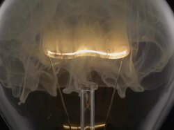 ECU SLO MO Shot of light bulb, showing burning and smoking tungsten wire / Munich, Bavaria, Germany Stock Footage