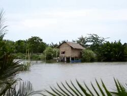 Little hut Stock Footage